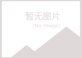 霍林郭勒夏日服务有限公司